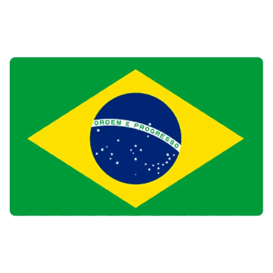 Antes: a bandeira do Brasil com a palavra BRASIL, o arquivo de imagem original